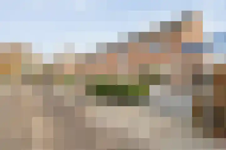 Ir. C.A. Kloosterhuisstraat 2 Willemsoord thumbnail 7