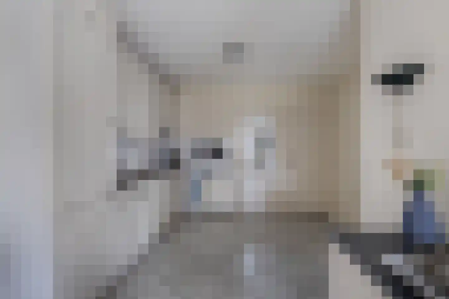 Ir. C.A. Kloosterhuisstraat 47 Willemsoord thumbnail 10