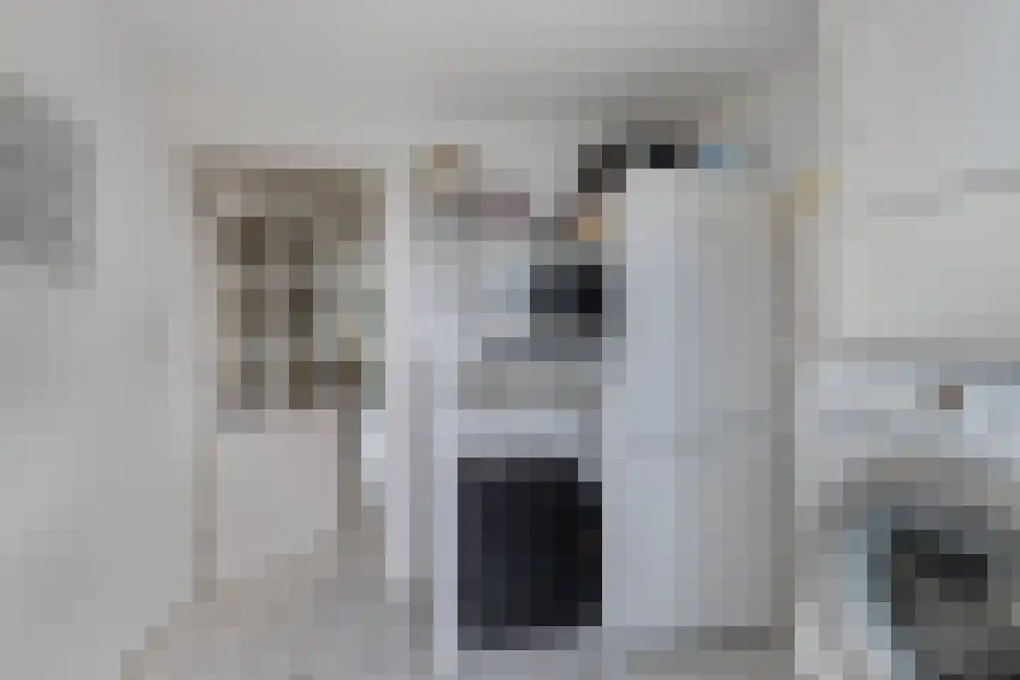 Ir. C.A. Kloosterhuisstraat 47 Willemsoord thumbnail 13