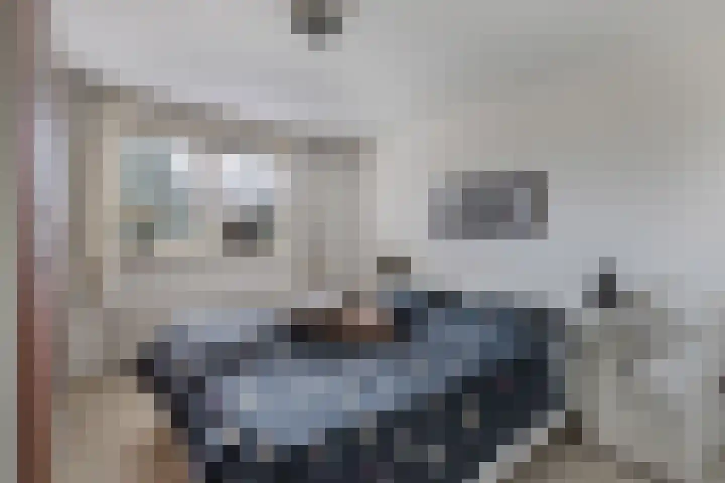 Ir. C.A. Kloosterhuisstraat 47 Willemsoord thumbnail 15