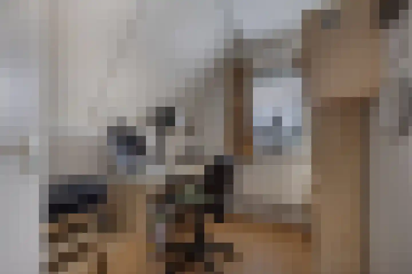 Ir. C.A. Kloosterhuisstraat 47 Willemsoord thumbnail 26