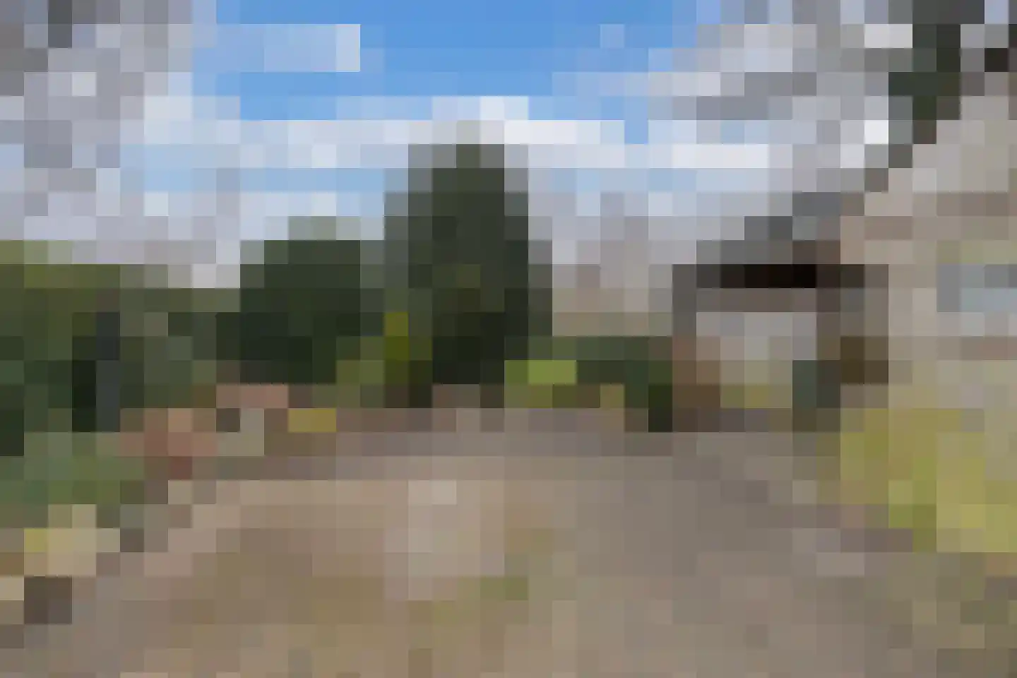 Ir. C.A. Kloosterhuisstraat 47 Willemsoord thumbnail 27