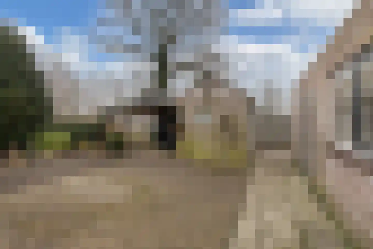 Ir. C.A. Kloosterhuisstraat 47 Willemsoord thumbnail 30