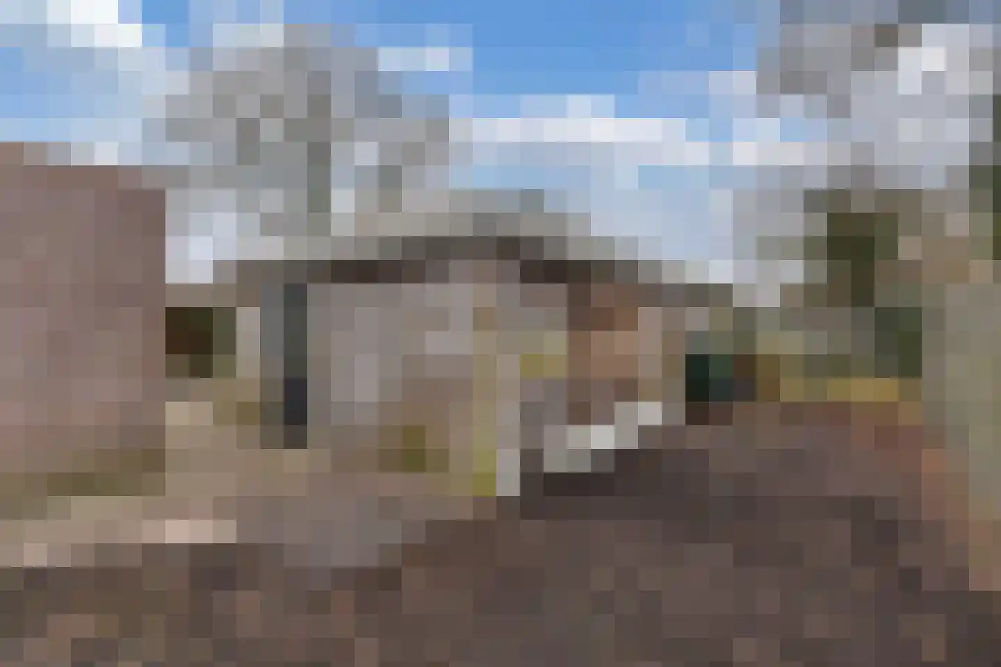 Ir. C.A. Kloosterhuisstraat 47 Willemsoord thumbnail 31