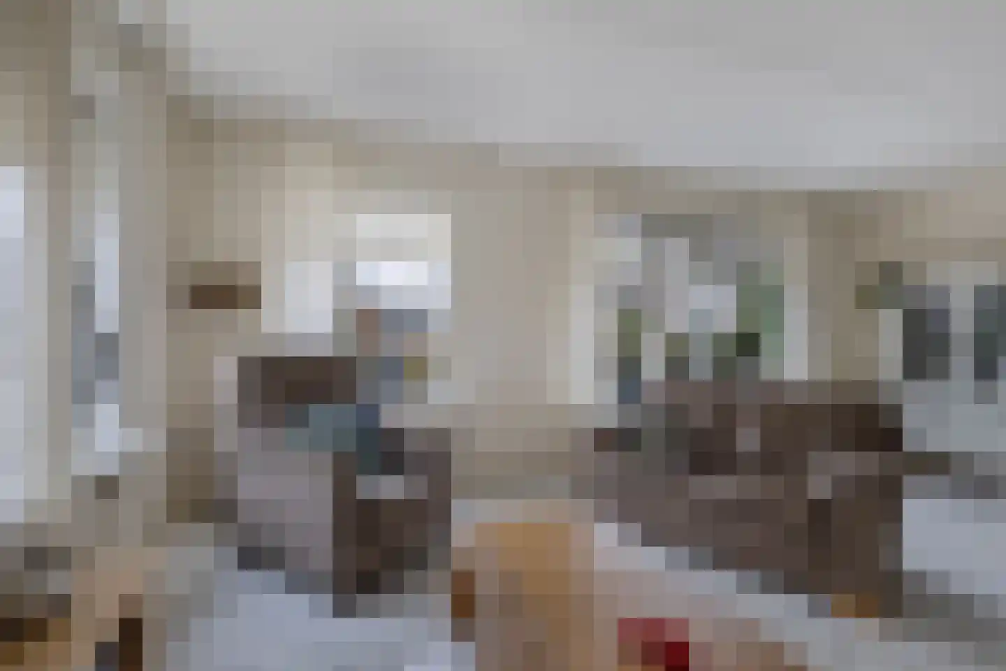 Ir. C.A. Kloosterhuisstraat 47 Willemsoord thumbnail 8