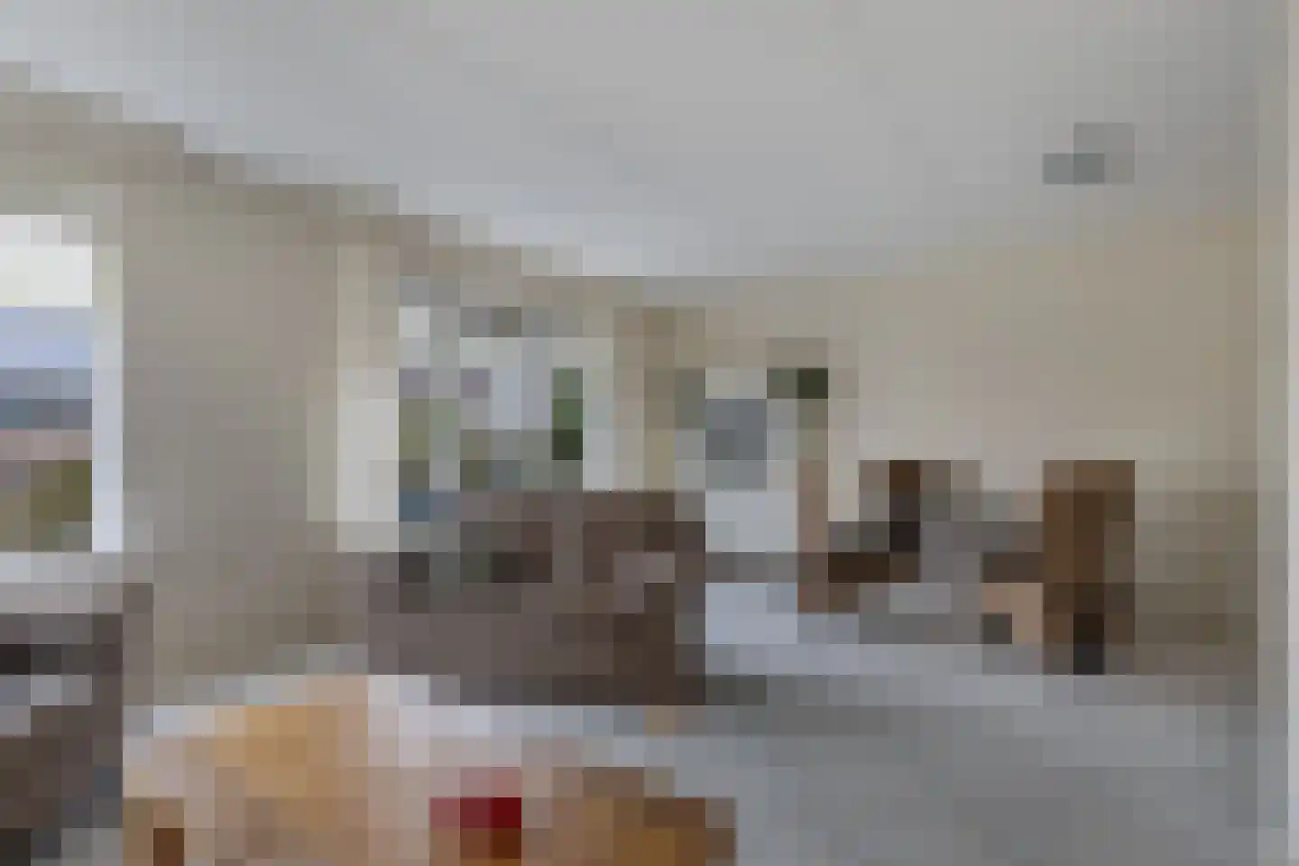 Ir. C.A. Kloosterhuisstraat 47 Willemsoord thumbnail 9