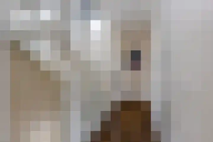 Ir. C.A. Kloosterhuisstraat 49 b Willemsoord thumbnail 23