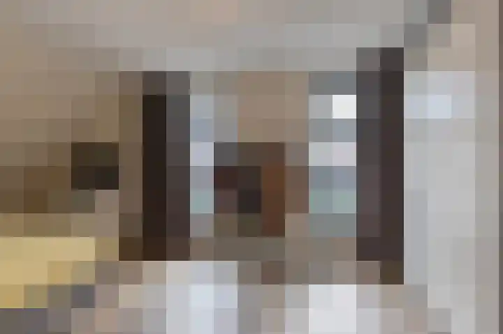 Ir. C.A. Kloosterhuisstraat 49 b Willemsoord thumbnail 26