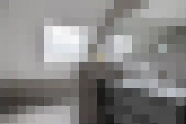 Ir. C.A. Kloosterhuisstraat 49 b Willemsoord thumbnail 31