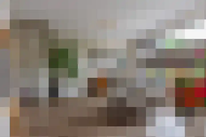 Ir. C.A. Kloosterhuisstraat 49 b Willemsoord thumbnail 9