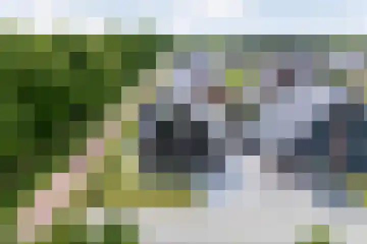 Ir. C.A. Kloosterhuisstraat 49 c Willemsoord thumbnail 11
