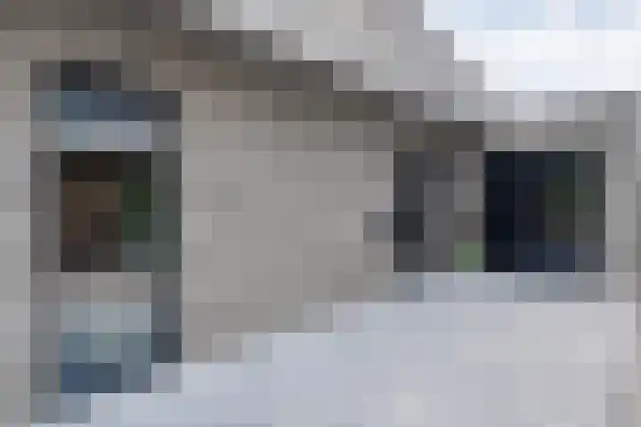 Ir. C.A. Kloosterhuisstraat 49 c Willemsoord thumbnail 14