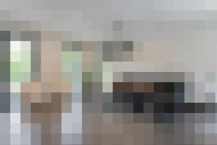 Ir. C.A. Kloosterhuisstraat 49 c Willemsoord thumbnail 24