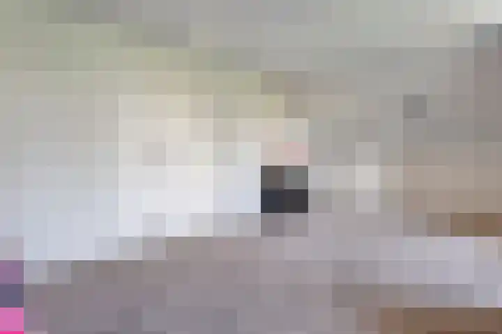 Ir. C.A. Kloosterhuisstraat 49 c Willemsoord thumbnail 39