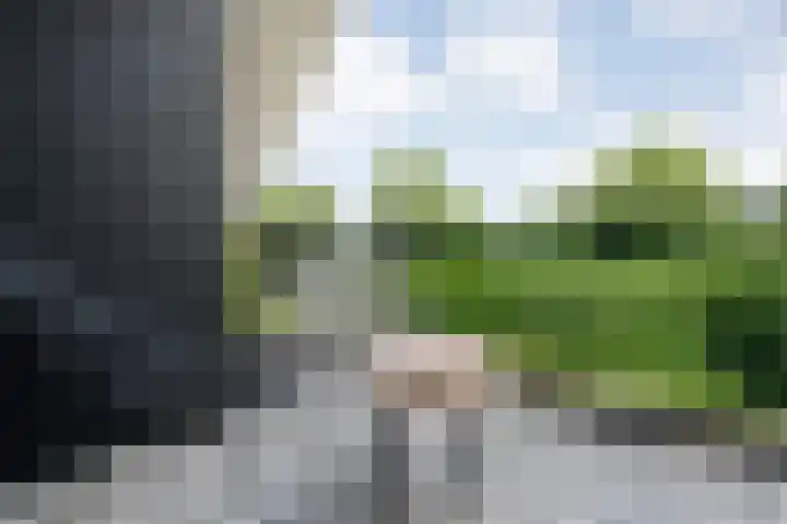 Ir. C.A. Kloosterhuisstraat 49 c Willemsoord thumbnail 41