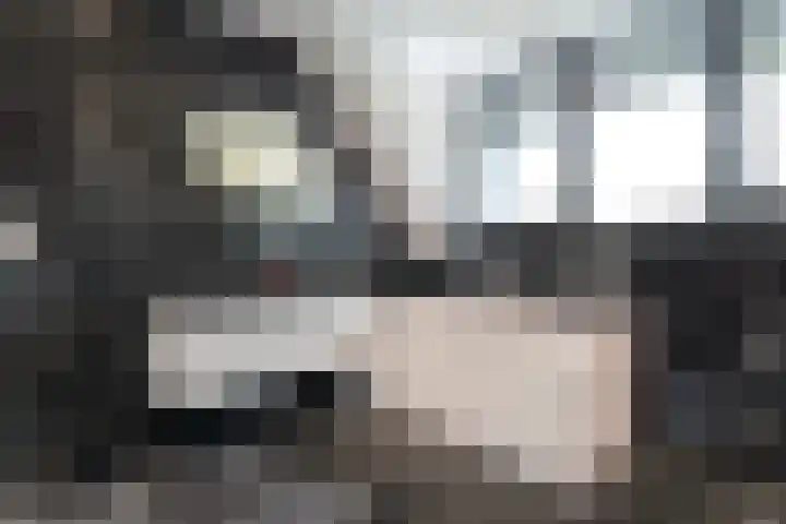 Ir. C.A. Kloosterhuisstraat 49 c Willemsoord thumbnail 43