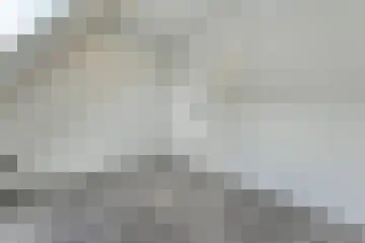 Ir. C.A. Kloosterhuisstraat 49 c Willemsoord thumbnail 49
