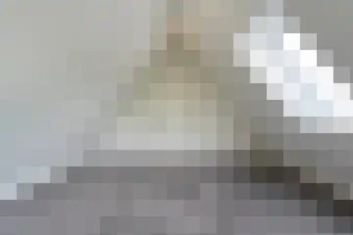 Ir. C.A. Kloosterhuisstraat 49 c Willemsoord thumbnail 55