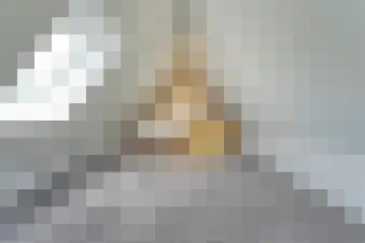 Ir. C.A. Kloosterhuisstraat 49 c Willemsoord thumbnail 58