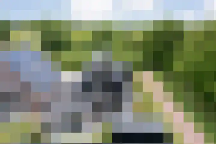 Ir. C.A. Kloosterhuisstraat 49 c Willemsoord thumbnail 9