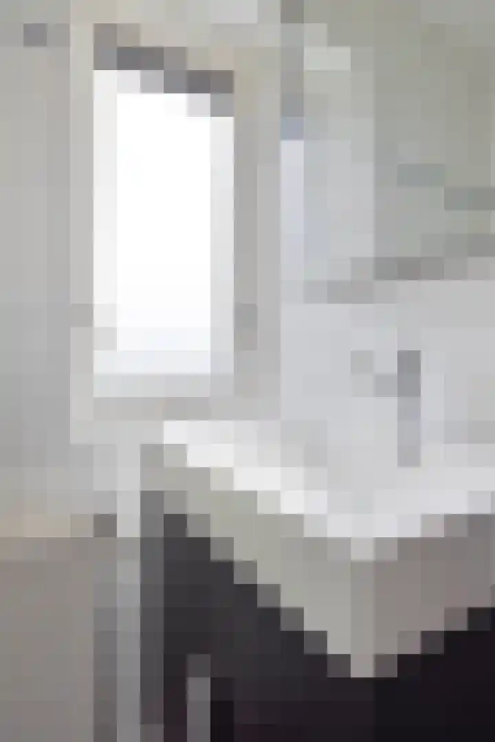 Ir. C.A. Kloosterhuisstraat 8 Willemsoord thumbnail 23