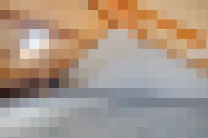 Ir. C.A. Kloosterhuisstraat 8 Willemsoord thumbnail 25