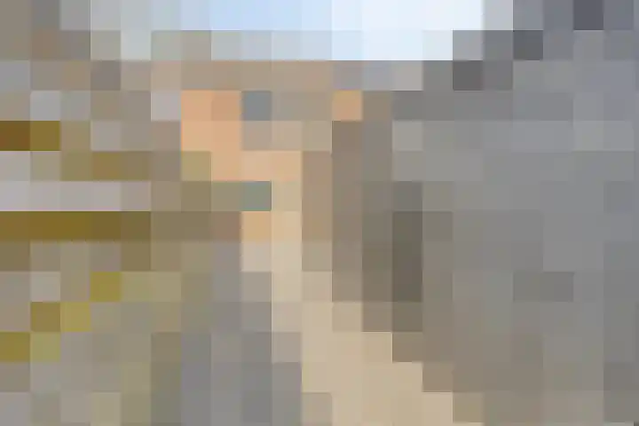 Ir. C.A. Kloosterhuisstraat 8 Willemsoord thumbnail 27