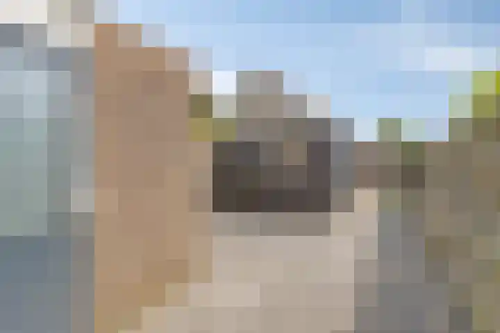 Ir. C.A. Kloosterhuisstraat 8 Willemsoord thumbnail 28