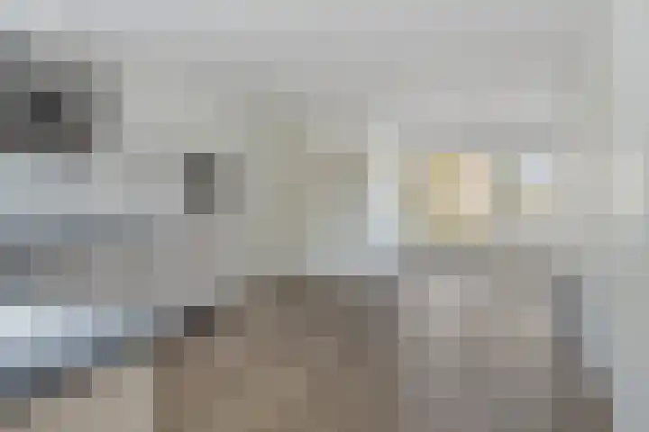 Ir. C.A. Kloosterhuisstraat 8 Willemsoord thumbnail 4