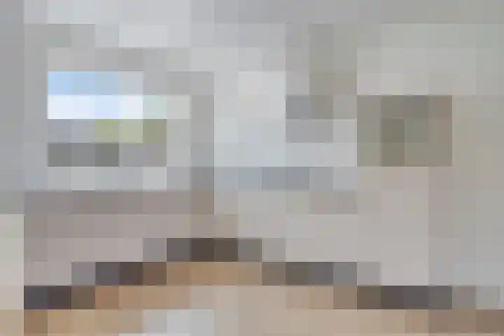 Ir. C.A. Kloosterhuisstraat 8 Willemsoord thumbnail 5