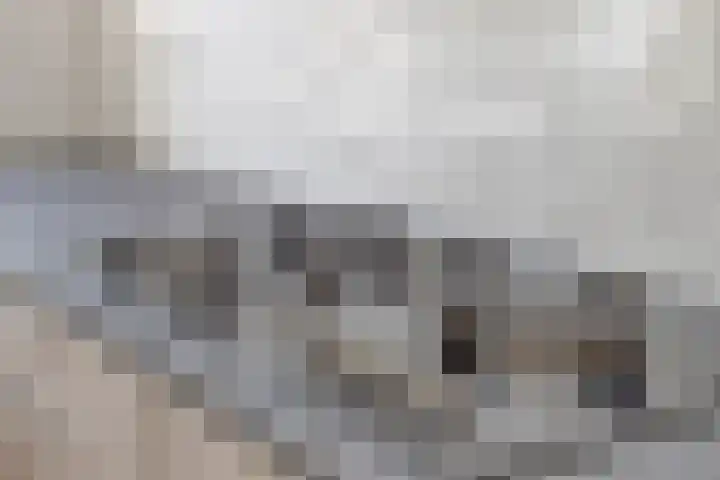 Ir. C.A. Kloosterhuisstraat 8 Willemsoord thumbnail 8