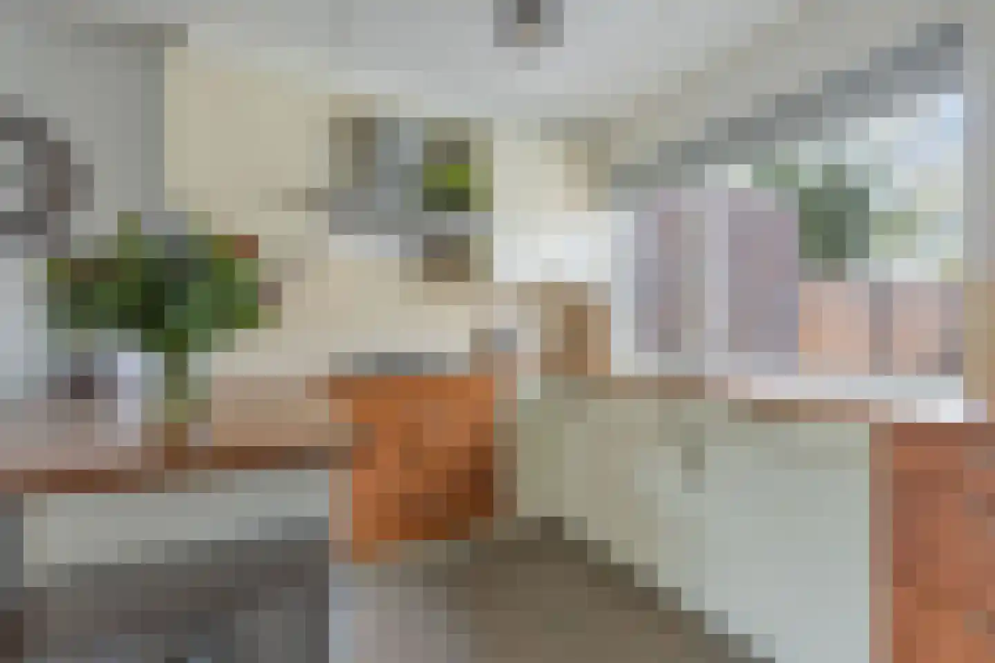 Ir. C.A. Kloosterhuisstraat 95 Willemsoord thumbnail 13