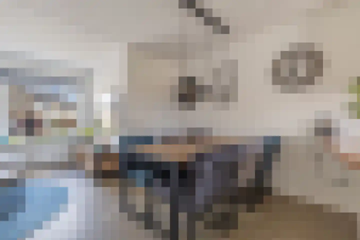 Ir. C.A. Kloosterhuisstraat 95 Willemsoord thumbnail 15