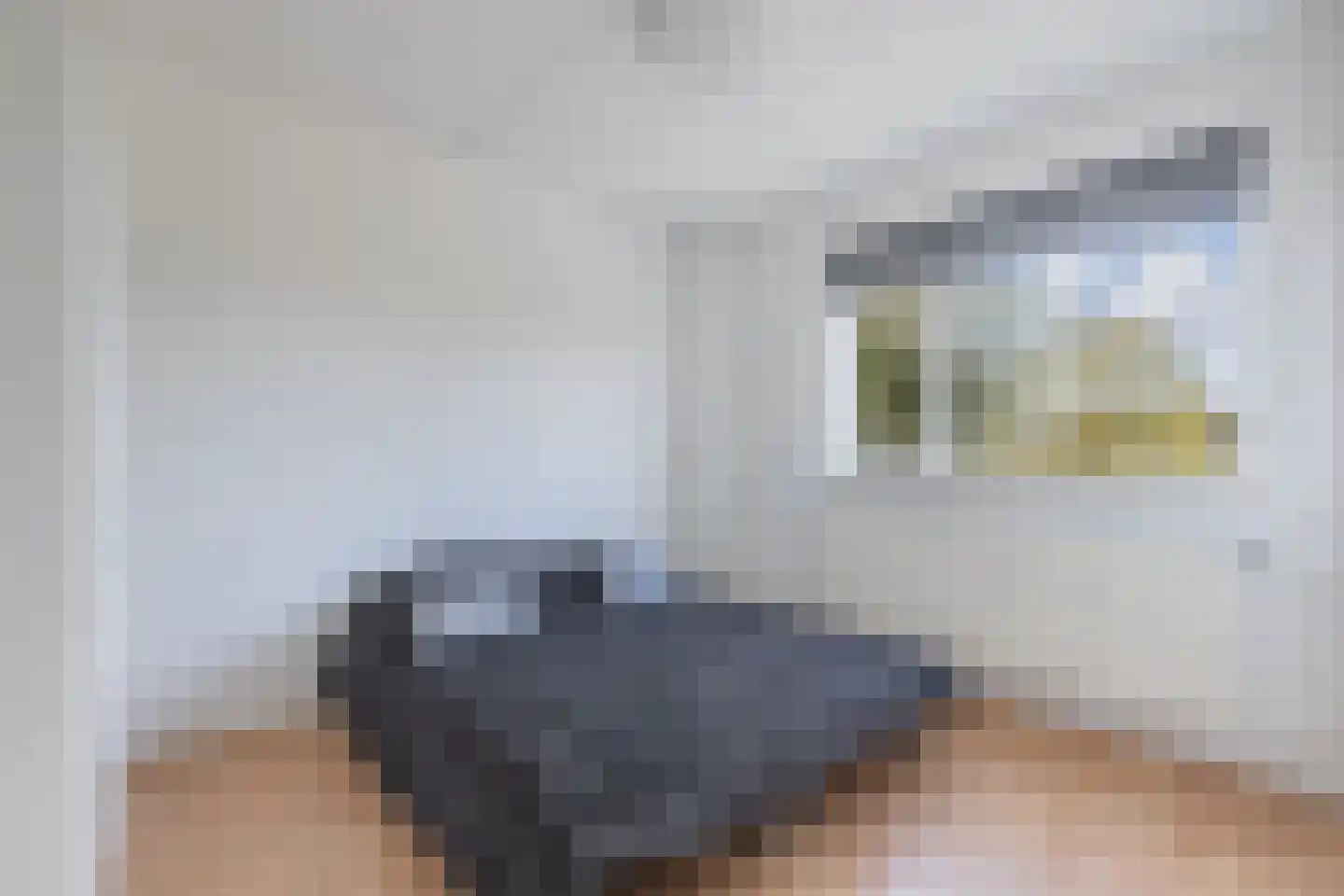 Ir. C.A. Kloosterhuisstraat 95 Willemsoord thumbnail 22