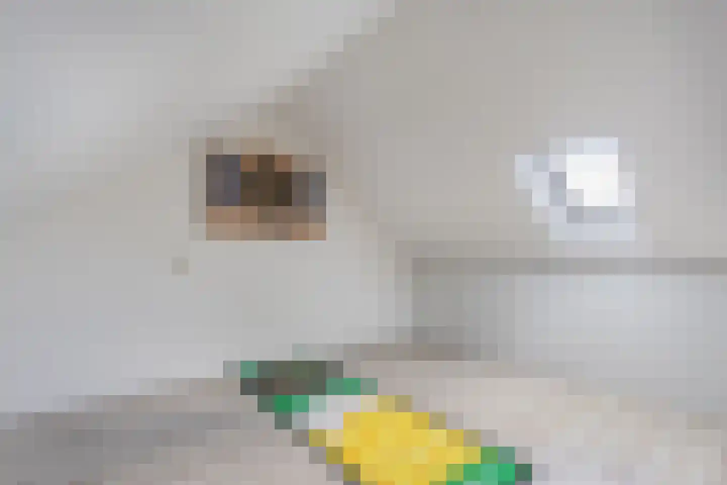 Ir. C.A. Kloosterhuisstraat 95 Willemsoord thumbnail 27