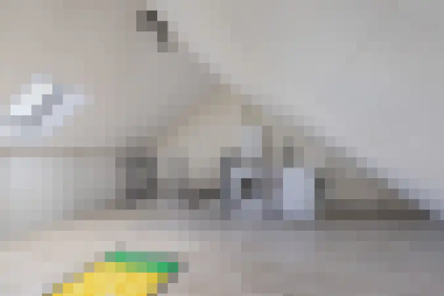 Ir. C.A. Kloosterhuisstraat 95 Willemsoord thumbnail 28