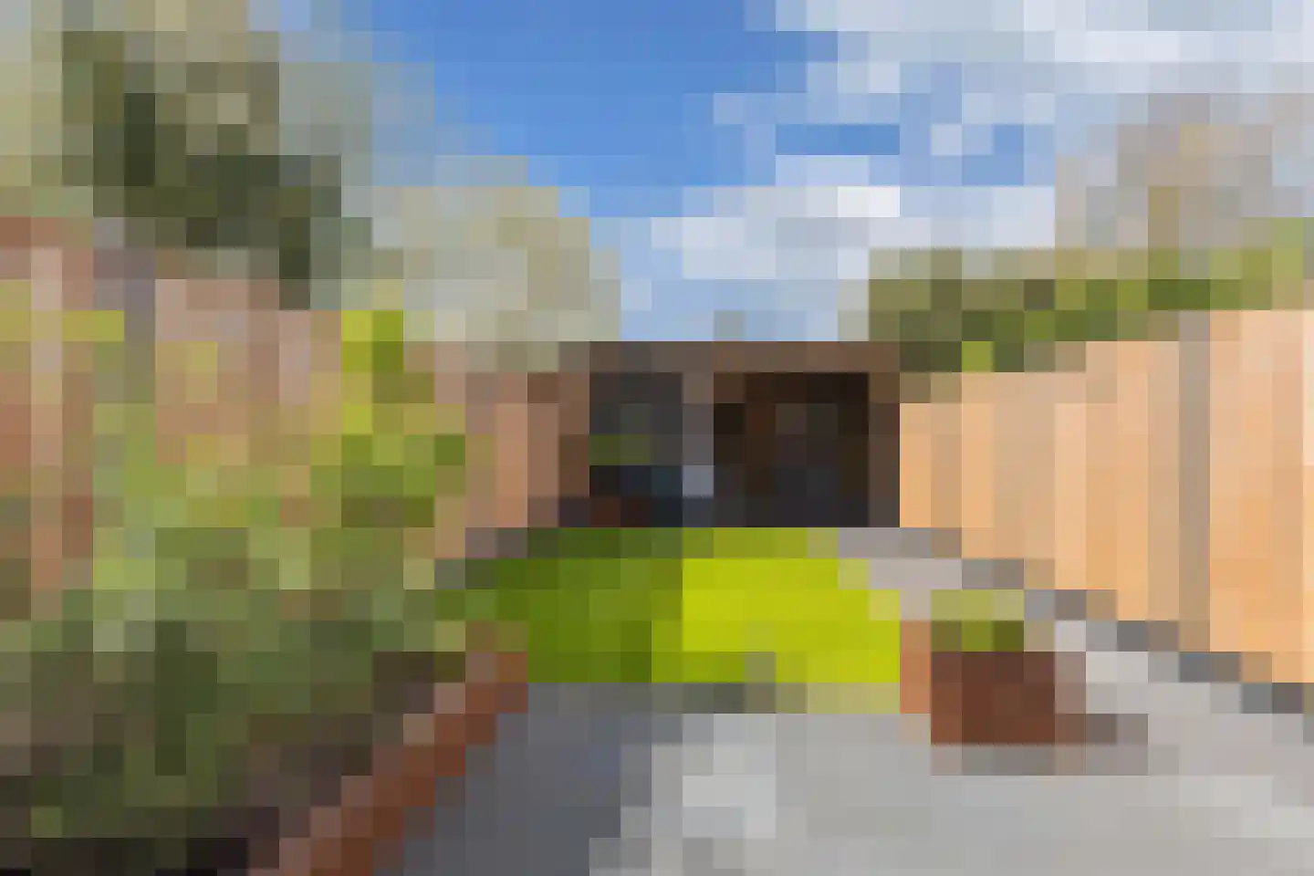 Ir. C.A. Kloosterhuisstraat 95 Willemsoord thumbnail 33