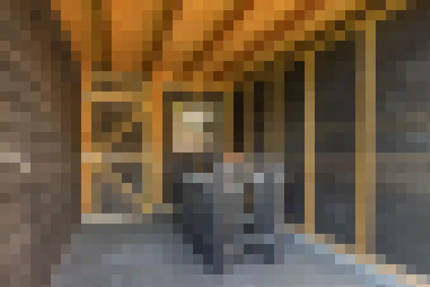 Ir. C.A. Kloosterhuisstraat 95 Willemsoord thumbnail 35