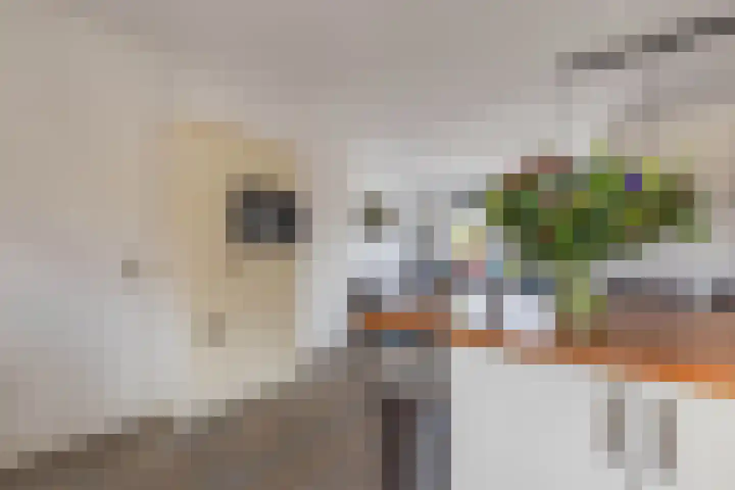 Ir. C.A. Kloosterhuisstraat 95 Willemsoord thumbnail 7