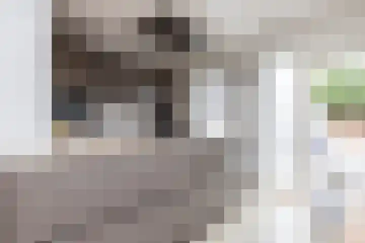 Ir. de Katstraat 24 Brunssum thumbnail 13