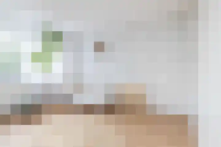 Ir. de Katstraat 24 Brunssum thumbnail 25