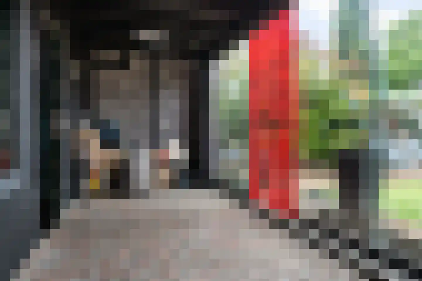 Ir. de Katstraat 30 Brunssum thumbnail 10