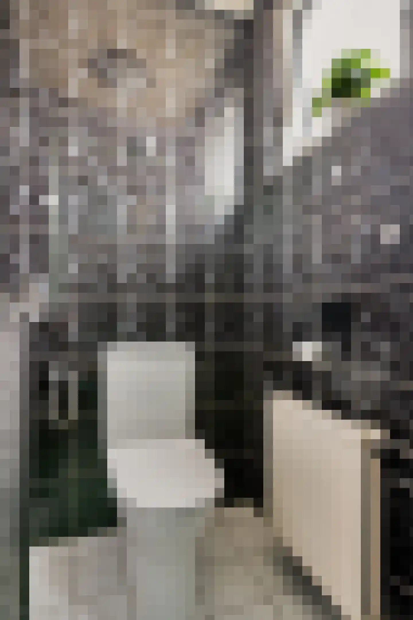 Ir. de Katstraat 30 Brunssum thumbnail 13