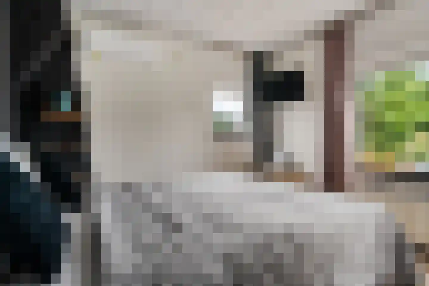 Ir. de Katstraat 30 Brunssum thumbnail 15