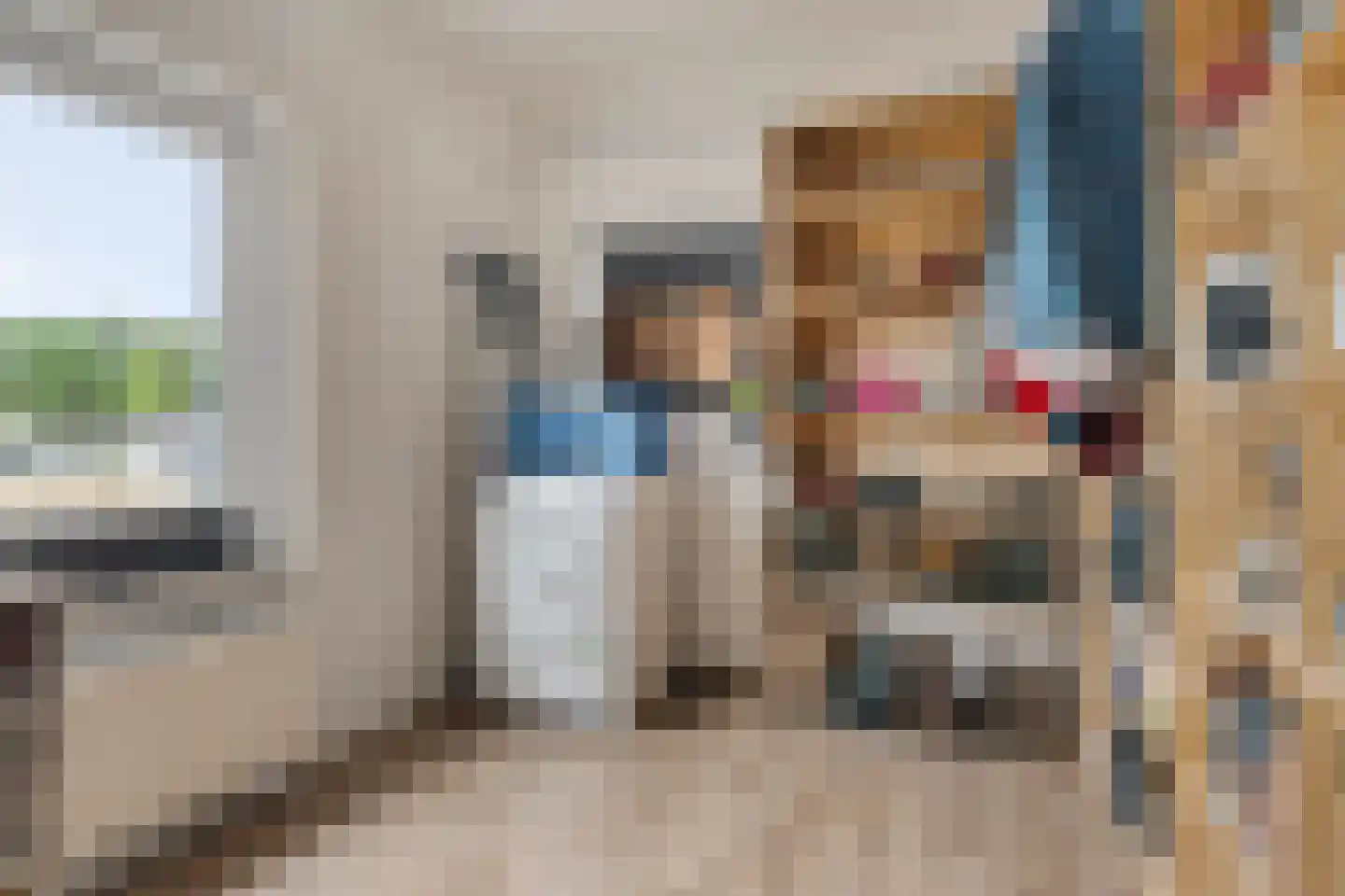 Ir. de Katstraat 30 Brunssum thumbnail 18