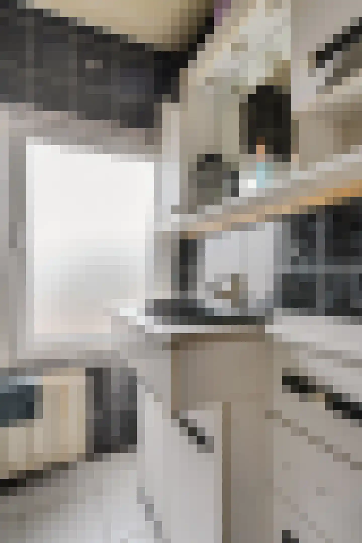 Ir. de Katstraat 30 Brunssum thumbnail 22