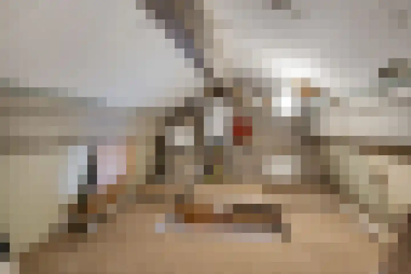 Ir. de Katstraat 30 Brunssum thumbnail 24