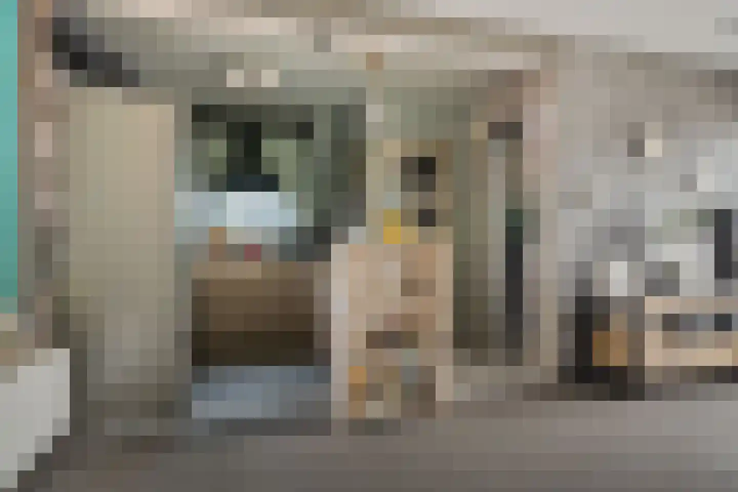 Ir. de Katstraat 30 Brunssum thumbnail 5