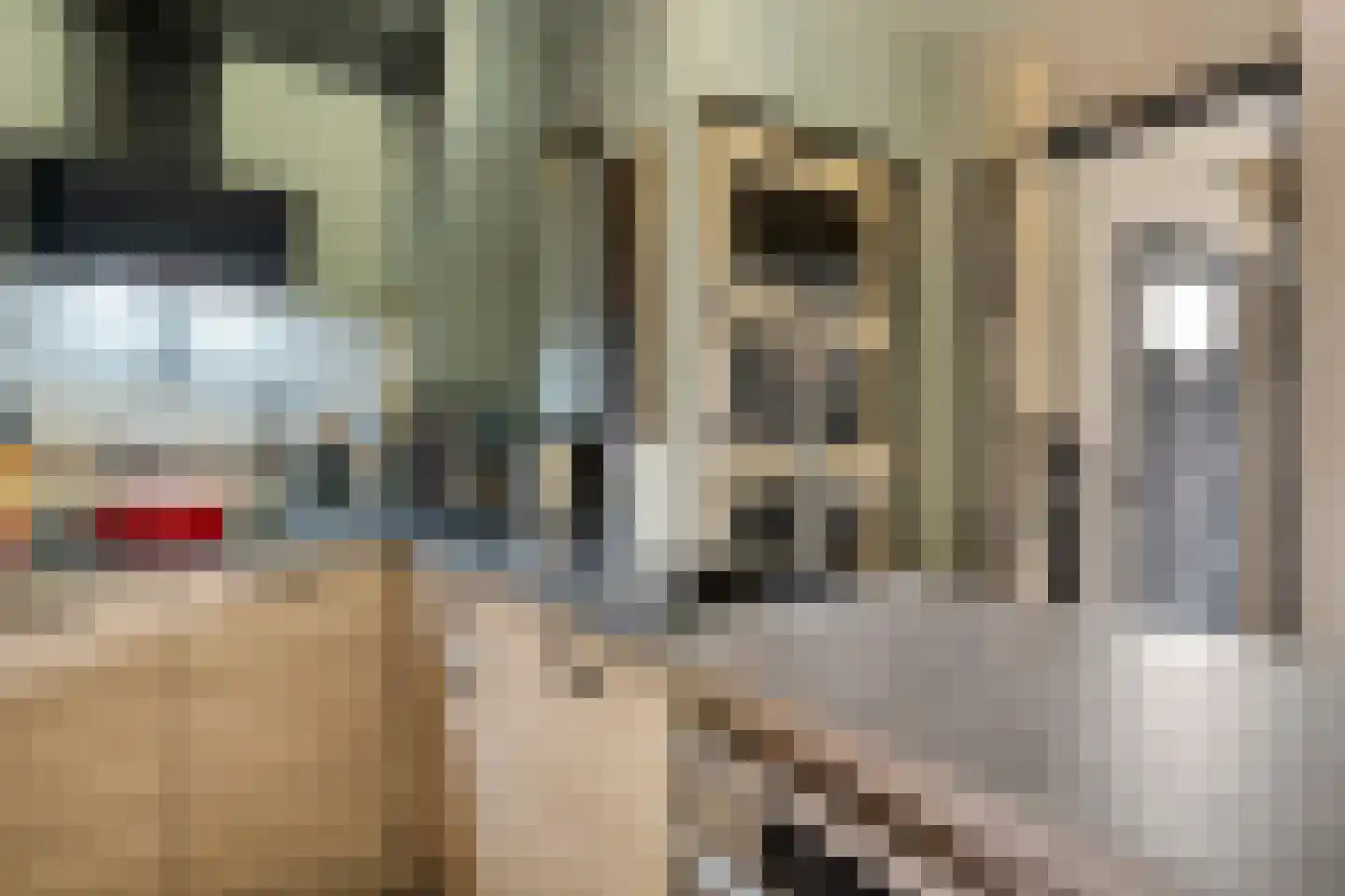 Ir. de Katstraat 30 Brunssum thumbnail 7