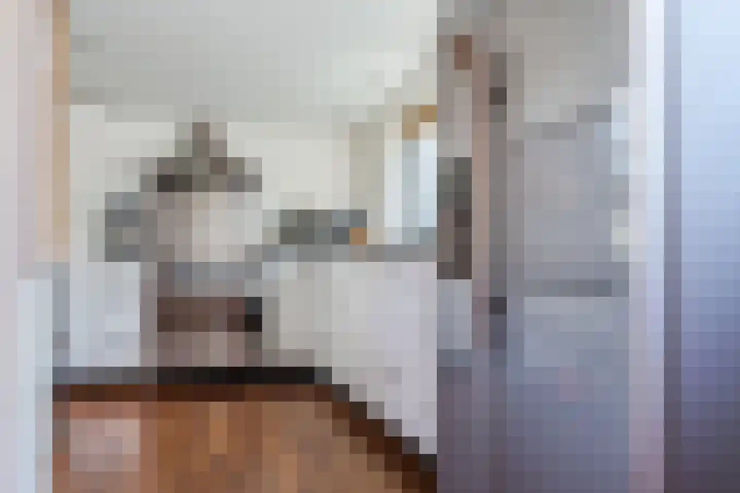 Ir. de Vassystraat 4 Petten thumbnail 14